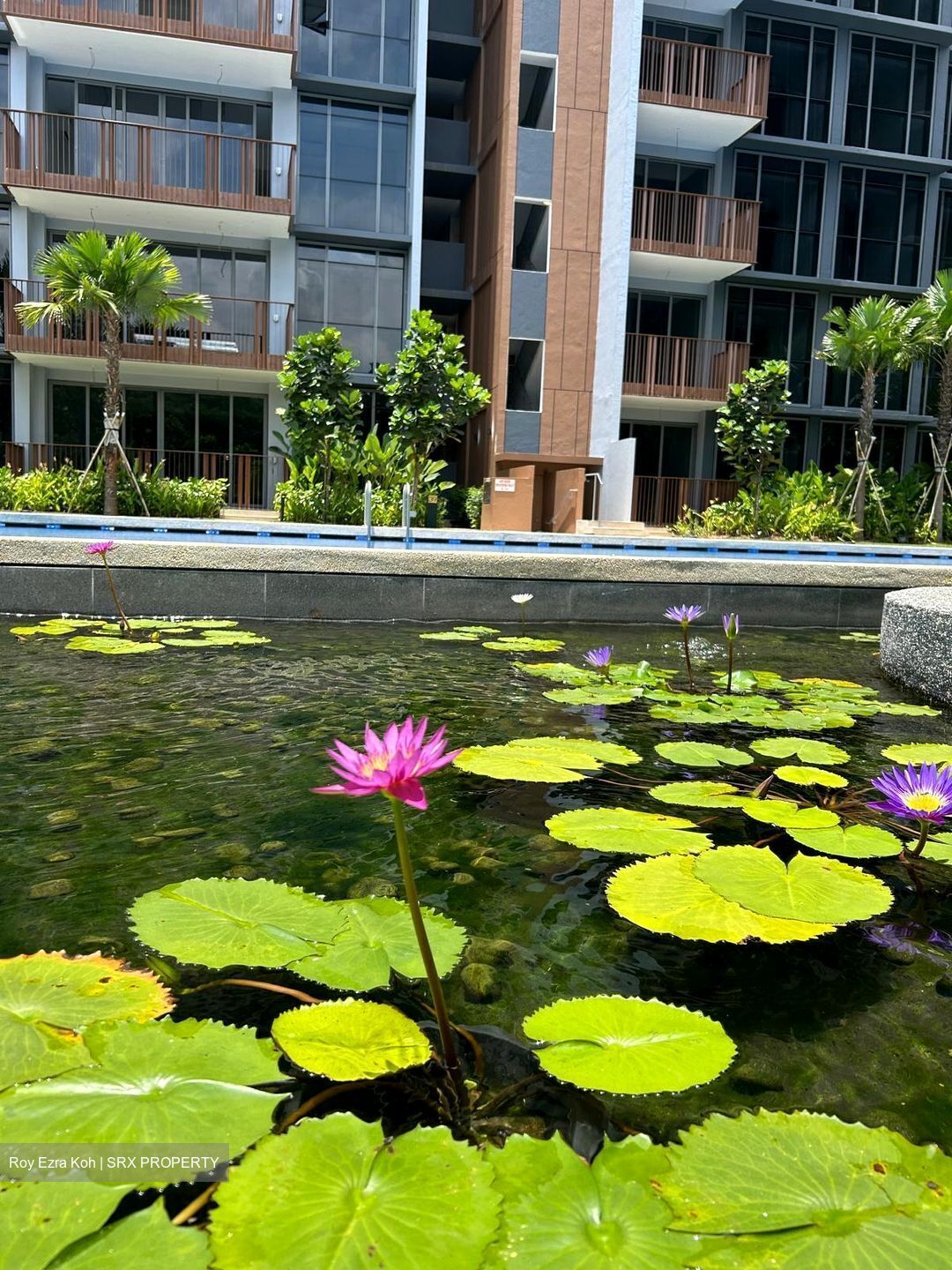 North Gaia (D27), Condominium #634656541
